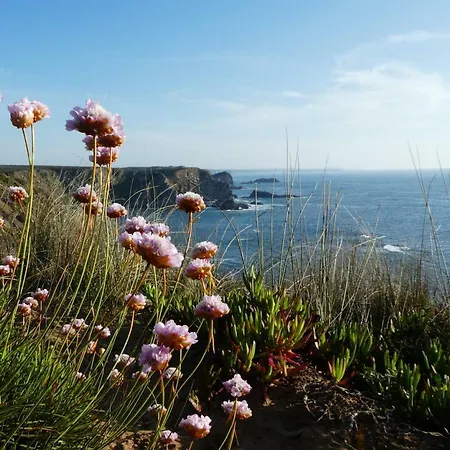 Apartamento Nest - Sunny Ocean View Close To Arrifana