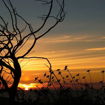 Apartamento Nest - Sunny Ocean View Close To Arrifana *